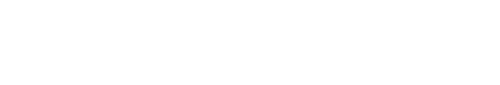 Fort Wola